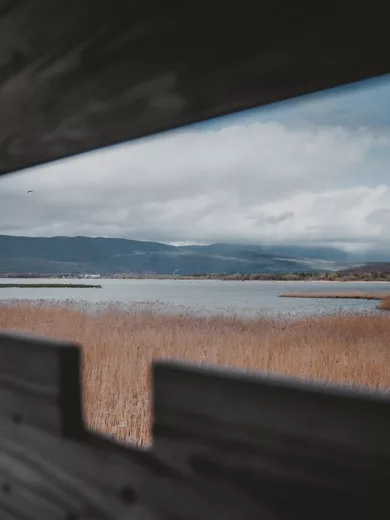 Promenade dans la réserve de la sauge lac de Neuchâtel, canton de Fribourg en Suisse. Observatoire ornithologique de la Sauge.