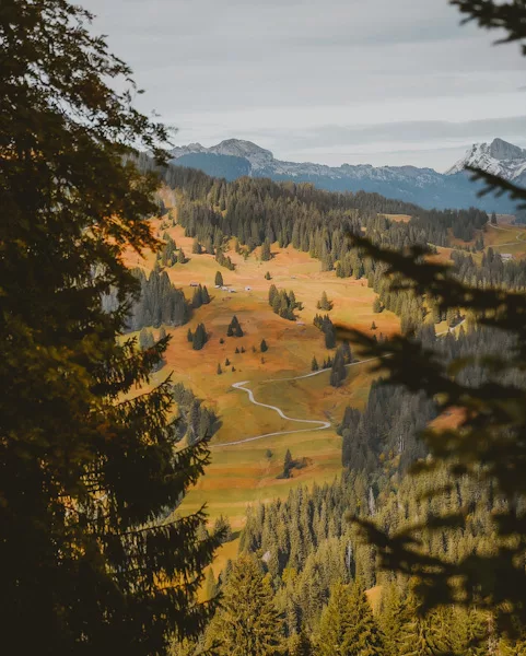 Randonnée à Interlaken sur la montagne Augstmatthorn (canton de Berne) en Suisse. Itinéraire, topo, photos et recommandations pour randonner et voyager en Suisse.