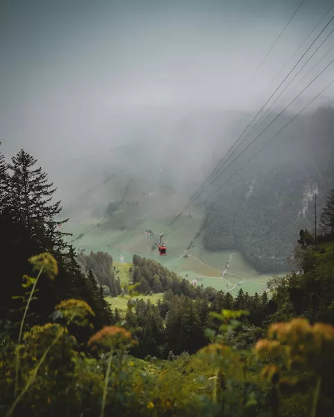 Randonnée courte et facile à Ebenalp dans le canton d'Appenzell massif de l'Alpstein en Suisse. Itinéraire, photos et recommandations de randonnées.