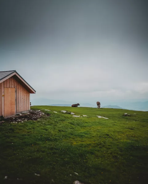 Randonnée courte et facile à Ebenalp dans le canton d'Appenzell massif de l'Alpstein en Suisse. Itinéraire, photos et recommandations de randonnées.