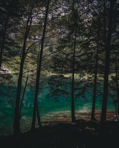 Randonnée facile à Seealpsee dans le massif de l'Alpstein canton d'Appenzell en Suisse. Itinéraire, photos et recommandations.