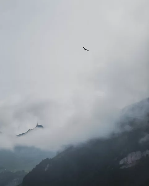 Randonnée courte et facile à Ebenalp dans le canton d'Appenzell massif de l'Alpstein en Suisse. Itinéraire, photos et recommandations de randonnées.