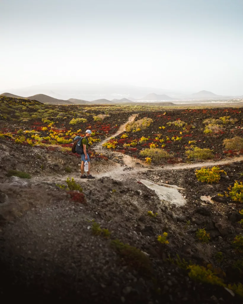 Randonnée à Montaña Amarilla, monument naturel à Tenerife, îles Canaries. Conseils, recommandations et randonnées à Tenerife dans les Canaries.