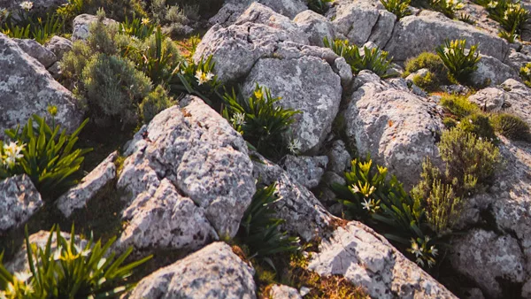 Randonnée au Monte Albo en Sardaigne. Itinéraire, recommandations, conseils et photos de voyage et randonnée en Sardaigne en Italie.