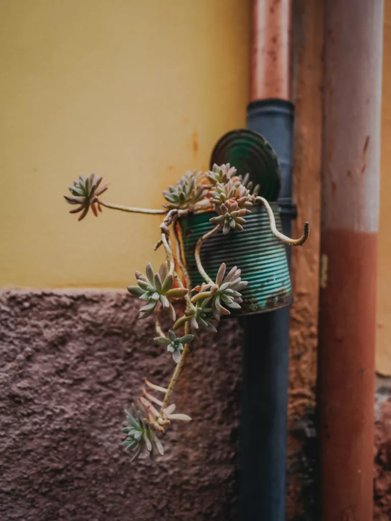 Détail dans une rue de la ville de Bosa en Sardaigne.