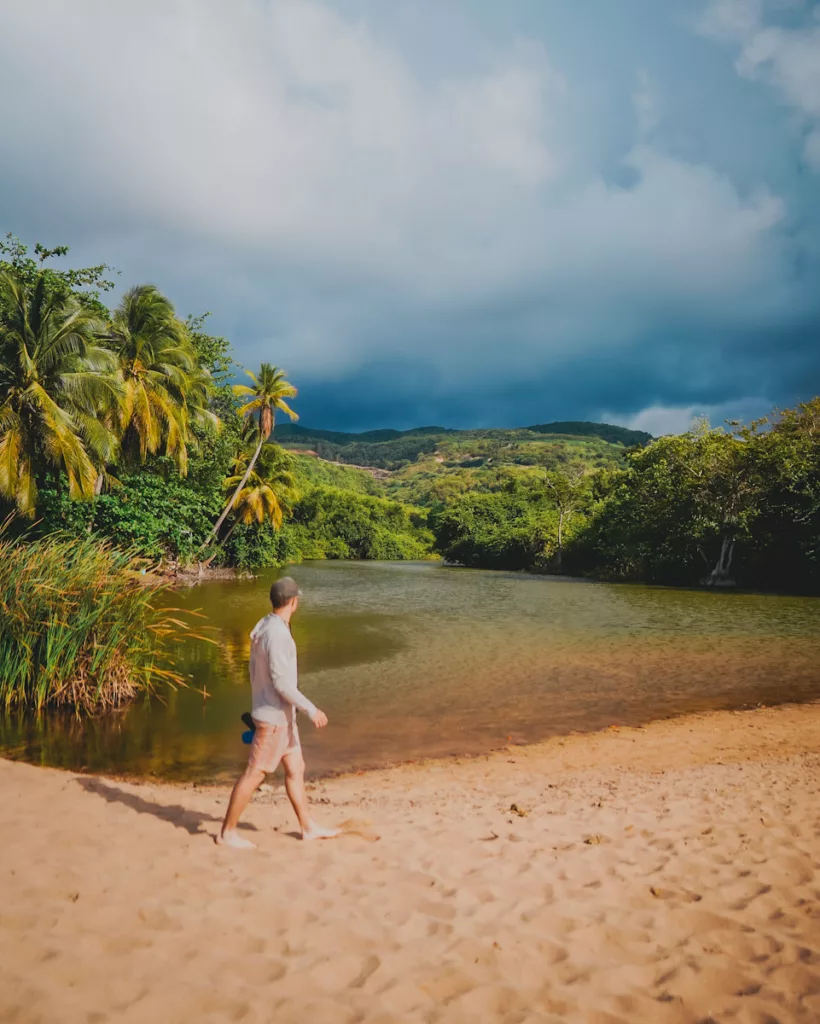 Criques et palmiers bordant la plage de Grande Anse.