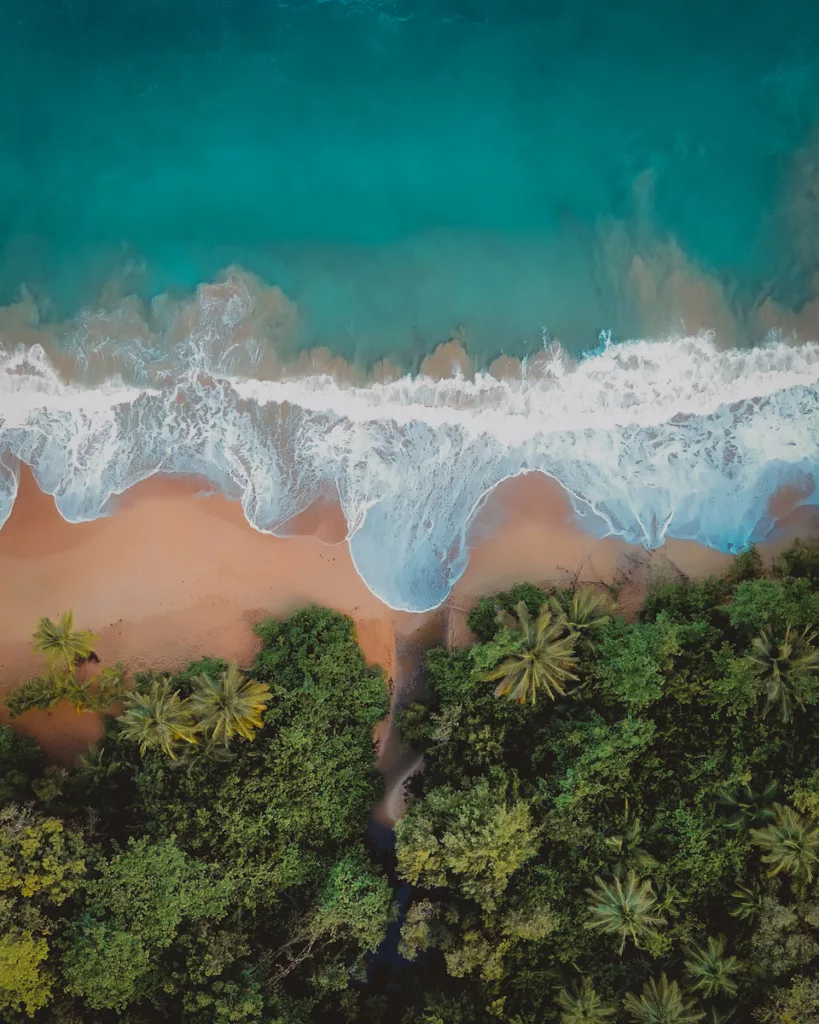 Paysage sauvage et authentique de la plage de La Perle en Guadeloupe.