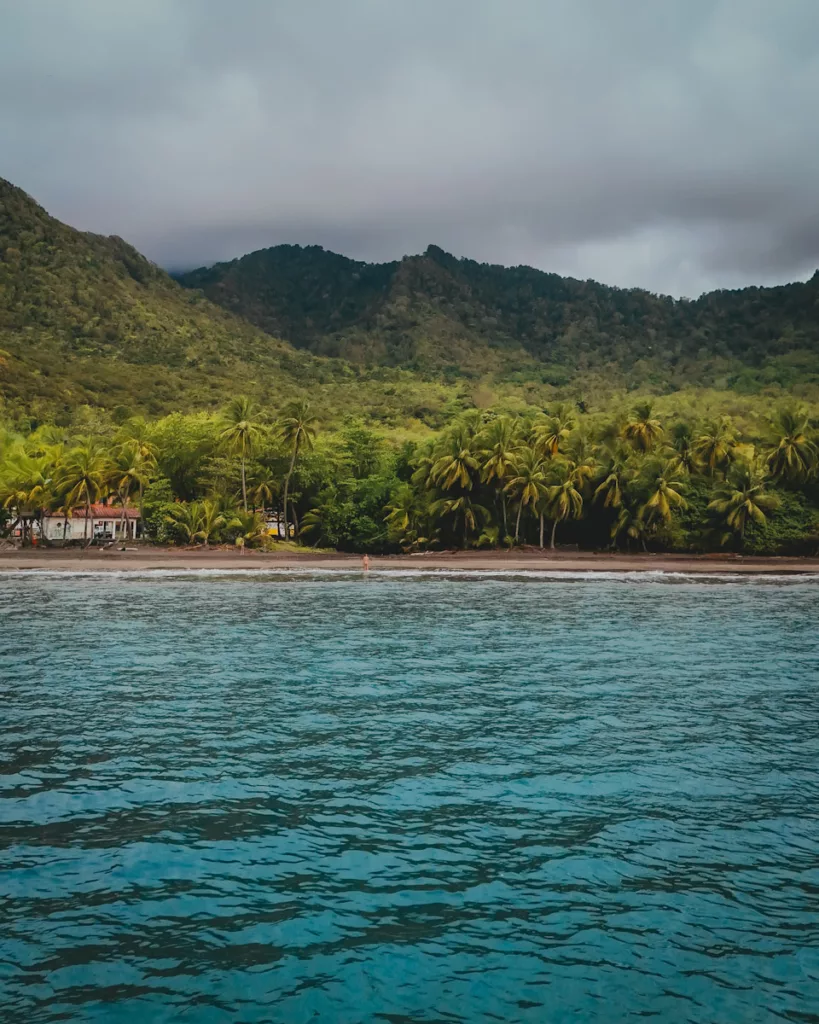 Vue panoramique sur la plage de Grande Anse à Trois-Rivières, entre mer et cocotiers.