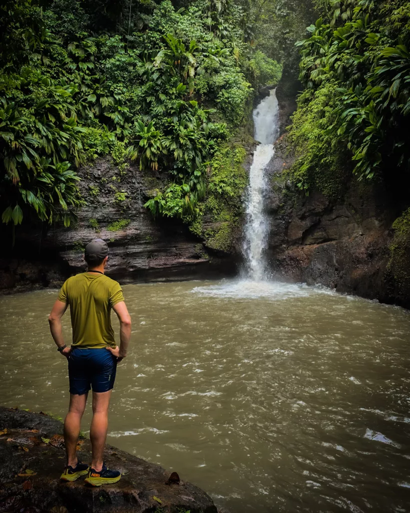 Végétation luxuriante autour de la Ravine Tambour, bassin naturel en Guadeloupe.