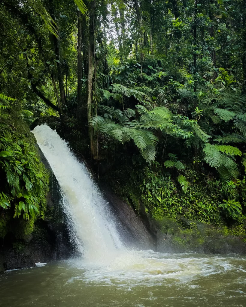 Cascade aux Écrevisses, chute d’eau emblématique dans la forêt tropicale de Guadeloupe.