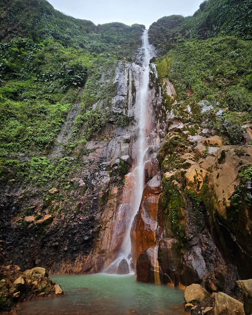 Cascade impressionnante de la première chute du Carbet tombant dans un bassin encaissé entouré de végétation luxuriante.

