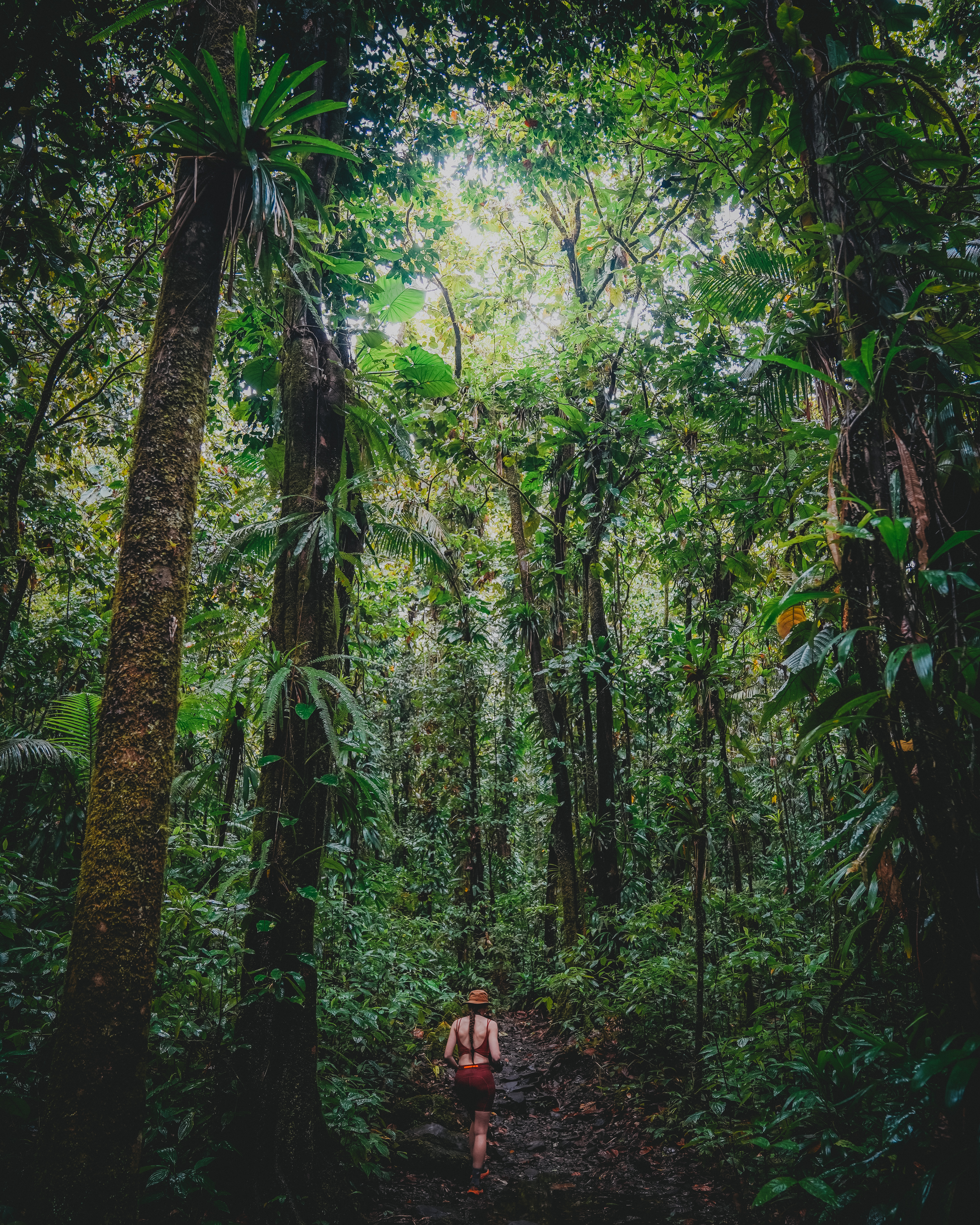 Randonneuse dans la forêt tropicale du Parc National de Guadeloupe.