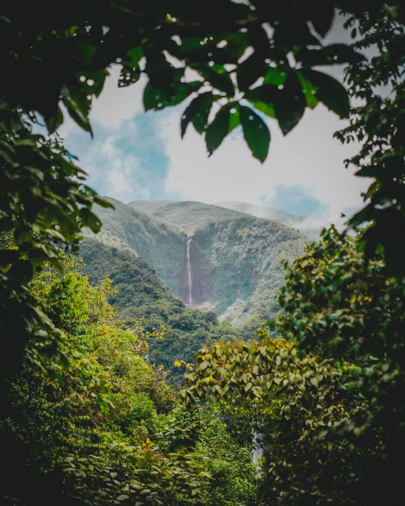 Chute d’eau puissante dévalant la montagne dans la forêt tropicale du Parc National de Guadeloupe.

