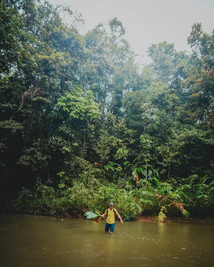 Traversée d’une rivière en crue dans la Ravine Tambour lors d’une randonnée.


