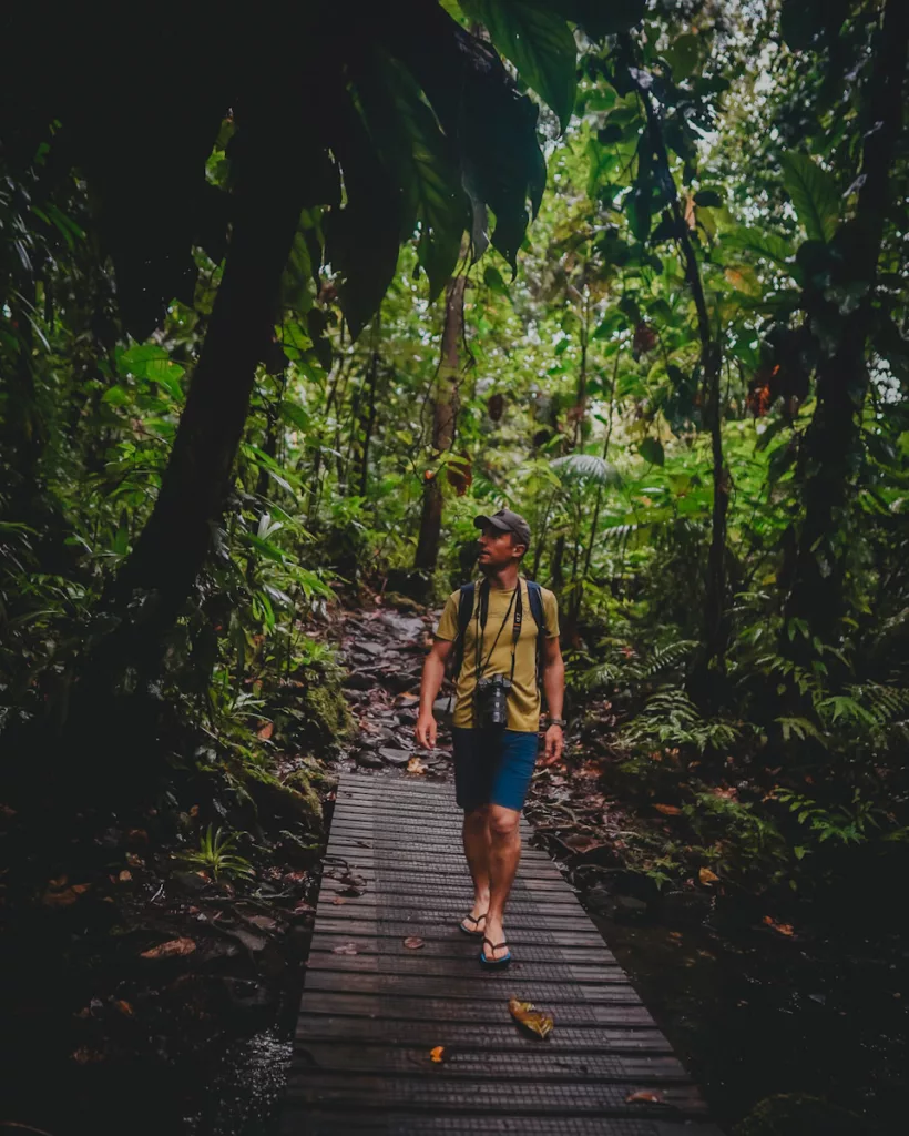 Randonneurs marchant dans la forêt tropicale du Parc National de Guadeloupe.


