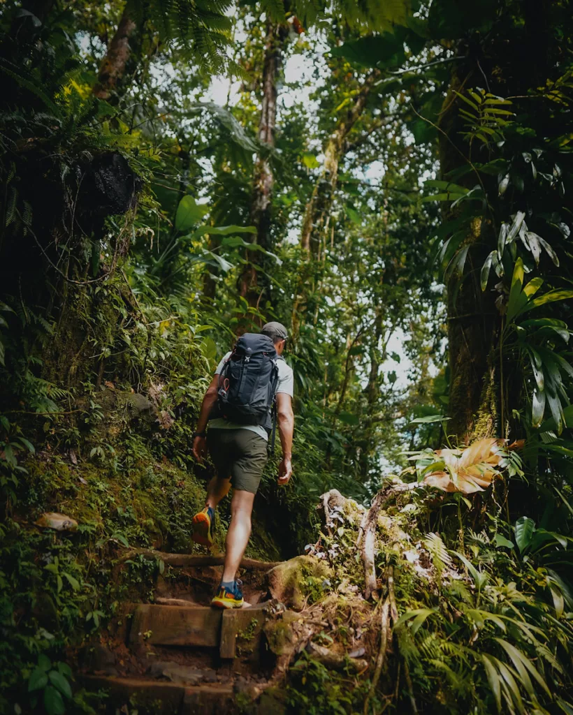 Randonneur marchant sur un sentier humide et boisé menant aux chutes du Carbet, Guadeloupe.

