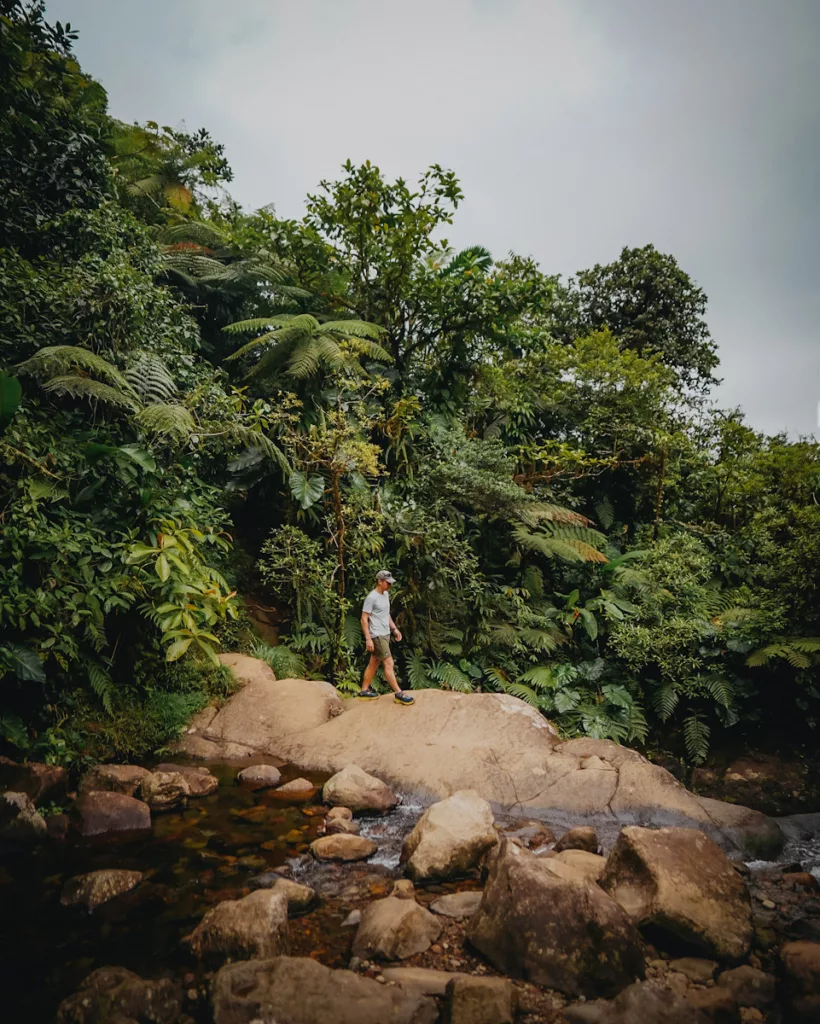 Randonneur traversant une rivière tropicale en marchant sur des rochers glissants, en pleine forêt de Guadeloupe.

