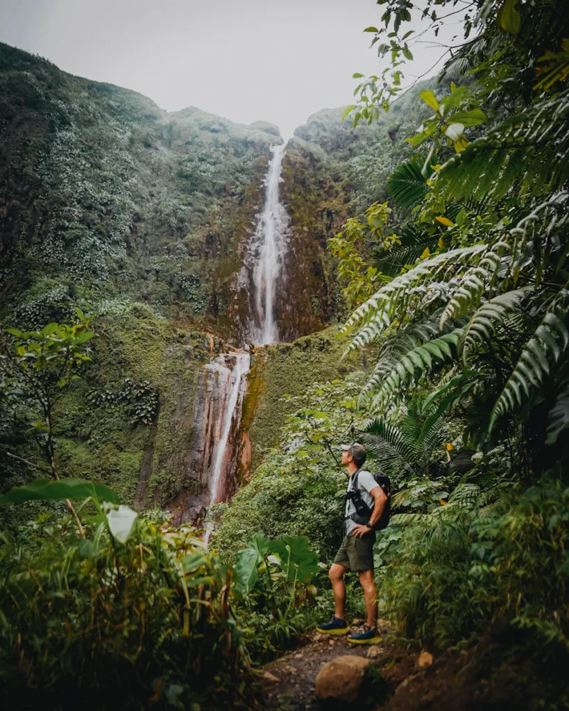 Randonneur admirant la première chute du Carbet, haute cascade au cœur de la forêt tropicale de Guadeloupe.

