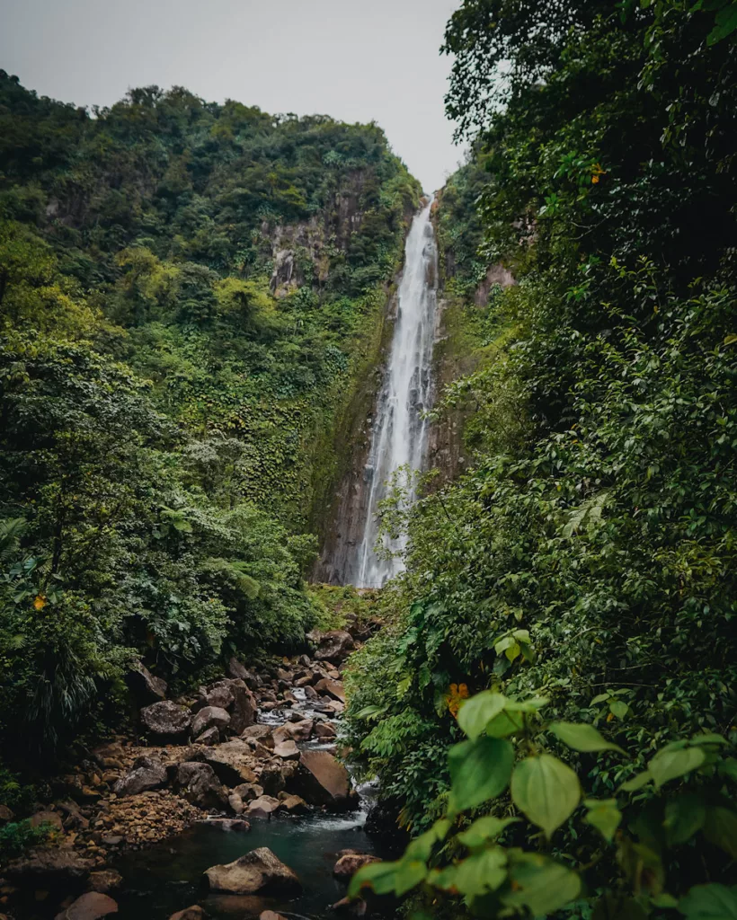 Vue spectaculaire sur la deuxième chute du Carbet depuis le sentier de randonnée, en pleine forêt tropicale de Guadeloupe.

