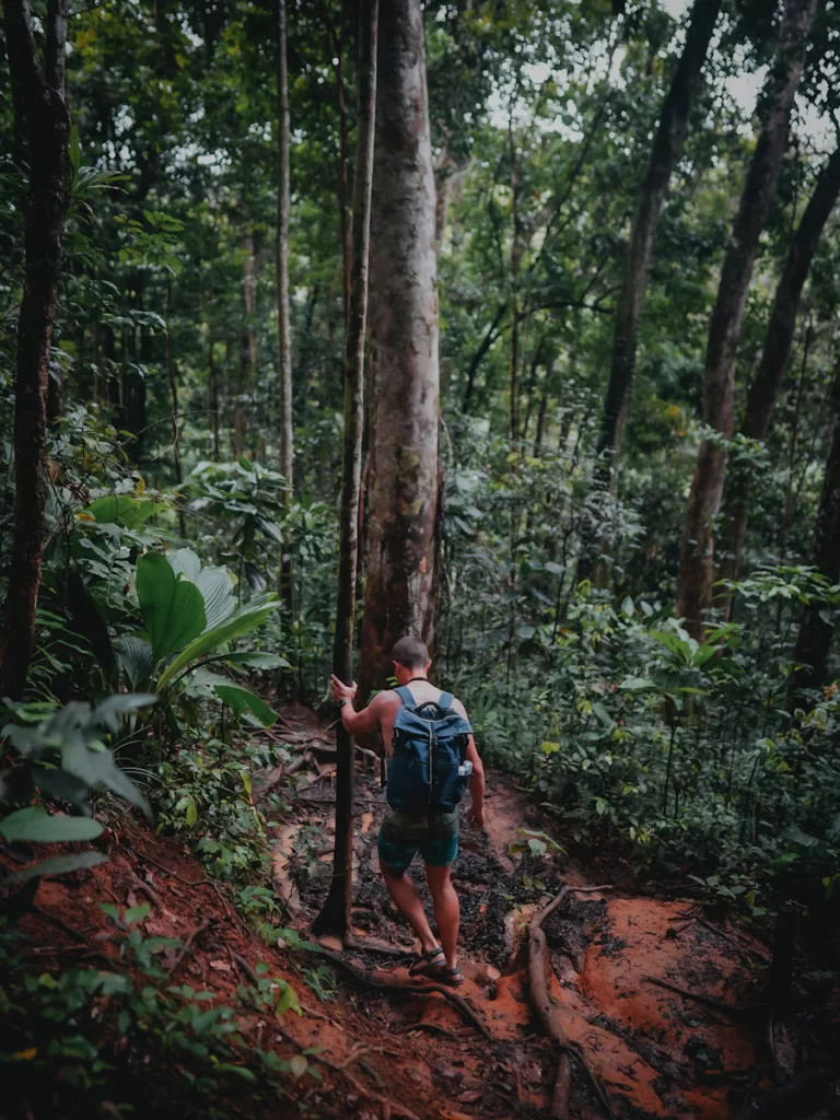 Randonneur en pleine descente sur un sentier glissant de Basse-Terre, lors de l’approche du canyon.

