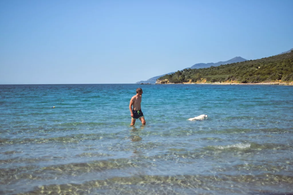 Baignade à la plage d'Olzo pendant la randonnée sur le littoral entre Patrimonio et Saint-Florent en Corse.