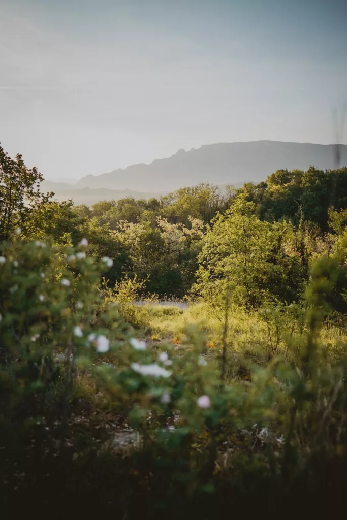 Vue sur la Dent du Chat au lever du soleil à Yenne.