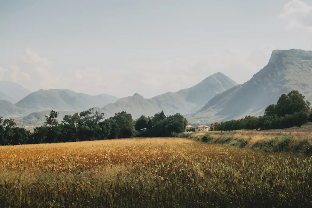 Espace de nature préservée au cours d'une randonnée à proximité de Grenoble