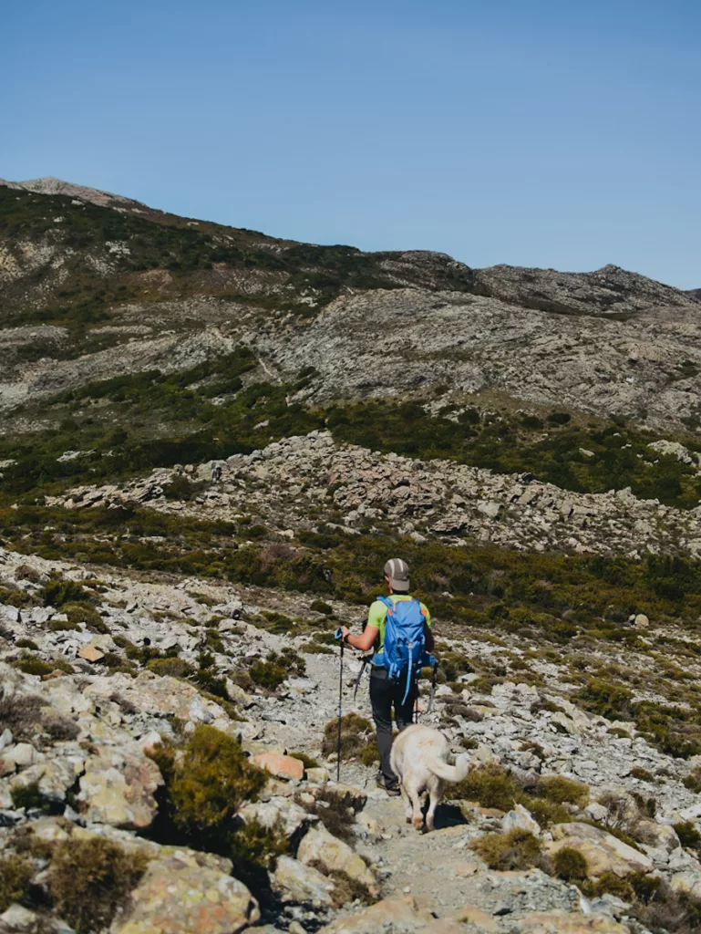 Randonneur et son chien qui se promène sur les sentiers des crêtes du Pigno ou Pignu en Corse.