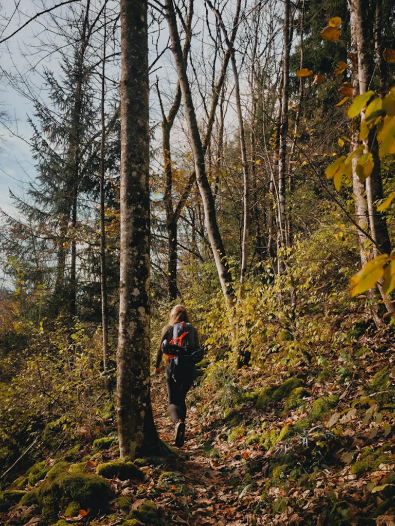 Via Ferrata en Haute-Savoie aux Saix de Miolene