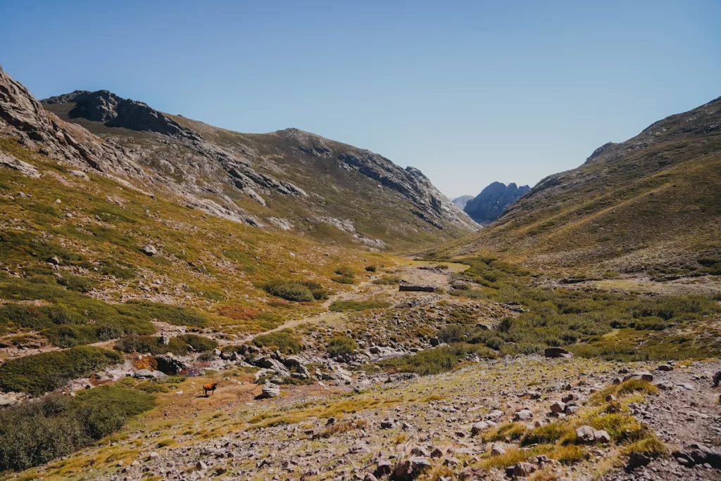vue sur la vallée du Golo en dessous du refuge de Ciottulu di i Mori, l'une des plus belles vallées de Corse sur le GR20.