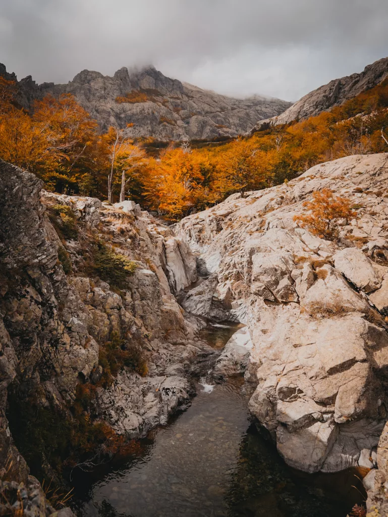 Vallée de Vizzavona avec les couleurs d'automne, rivière qui coule dans la forêt sur le GR20 en Corse.