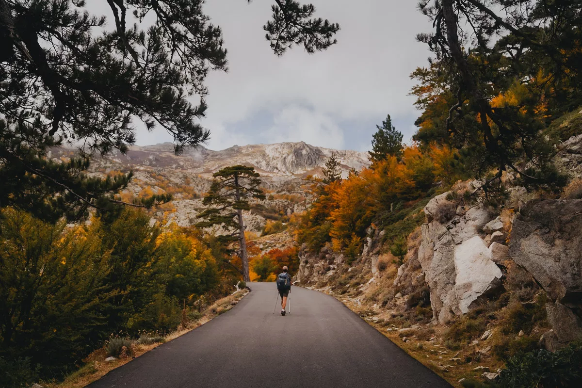 Randonneur marchant sur une route proche de Ghisoni sur le GR20 en automne par temps brumeux.