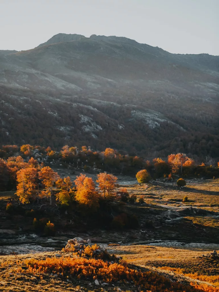 Couleurs d'automne sur le GR20 partie sud.
