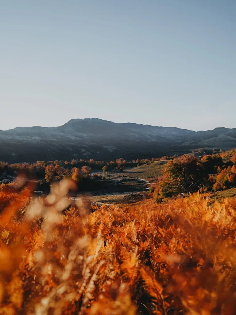 Couleurs d'automne sur le GR20 partie sud, vue sur le Monte Incudine le matin.