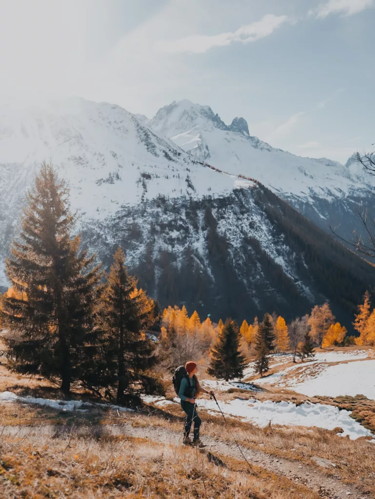 Randonneuse en automne devant des mélèzes dans la vallée de Chamonix.