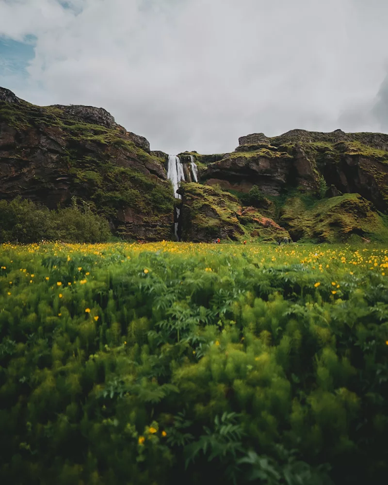 Vue sur la cascade de Gljúfrabúi lors d'une randonnée à Seljalandsfoss dans le sud de l'Islande.