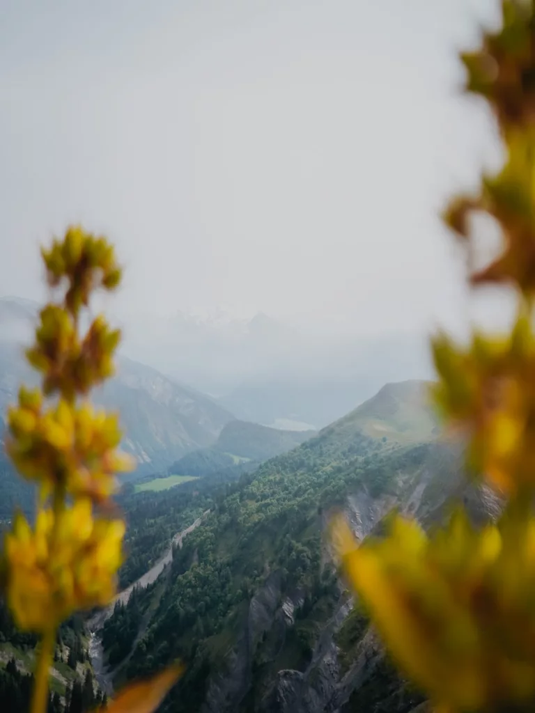 Vue sur le Mont-Blanc depuis la Pointe d'Angolon, randonnée à Joux Plane proche de Samoëns en Haute-Savoie.