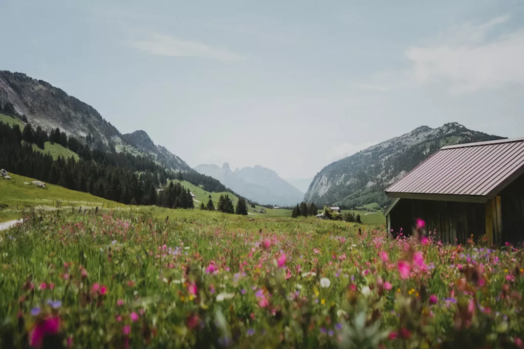 Plateau des Glières : randonnée par le pas du Roc, randonnée en Haute-Savoie