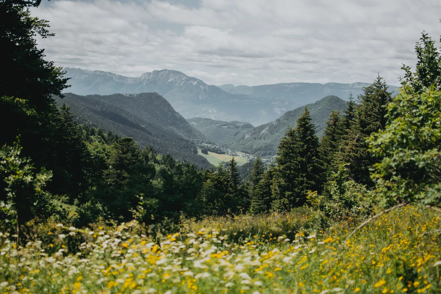 Crêtes du Mont Saint Eynard, randonnée en Chartreuse dans le département de l'Isère.