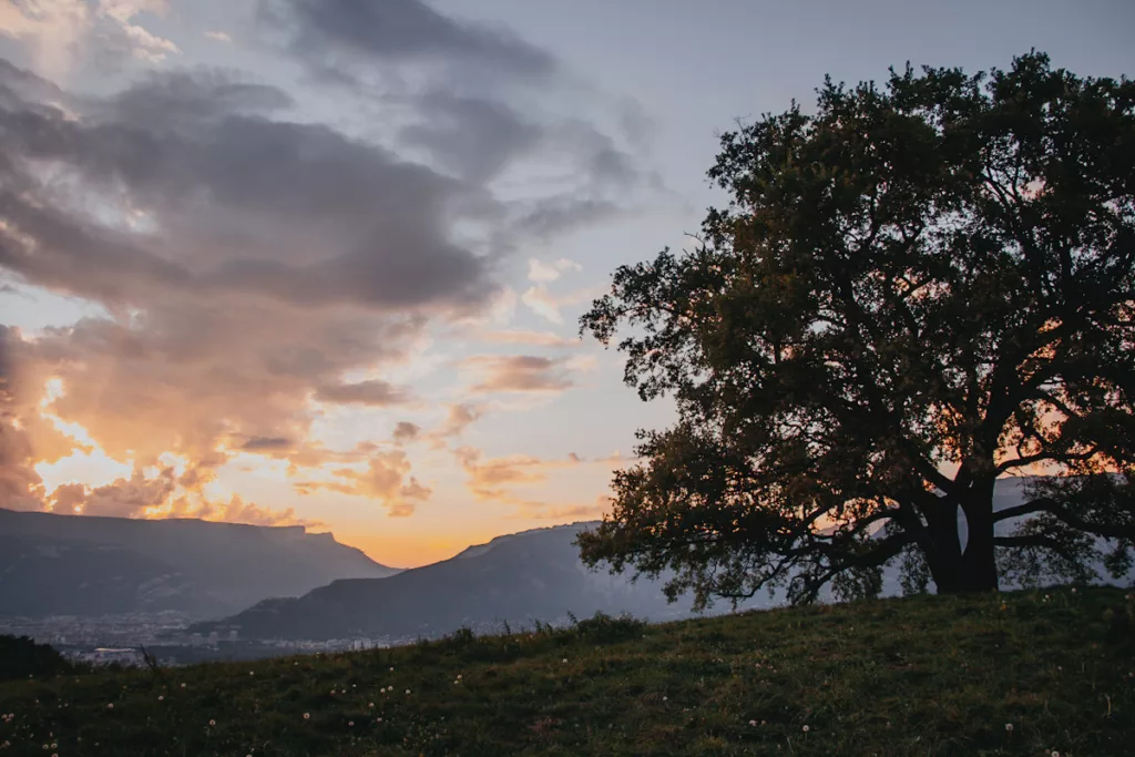 Randonnée proche de Grenoble : le chêne du Vénon en Isère.