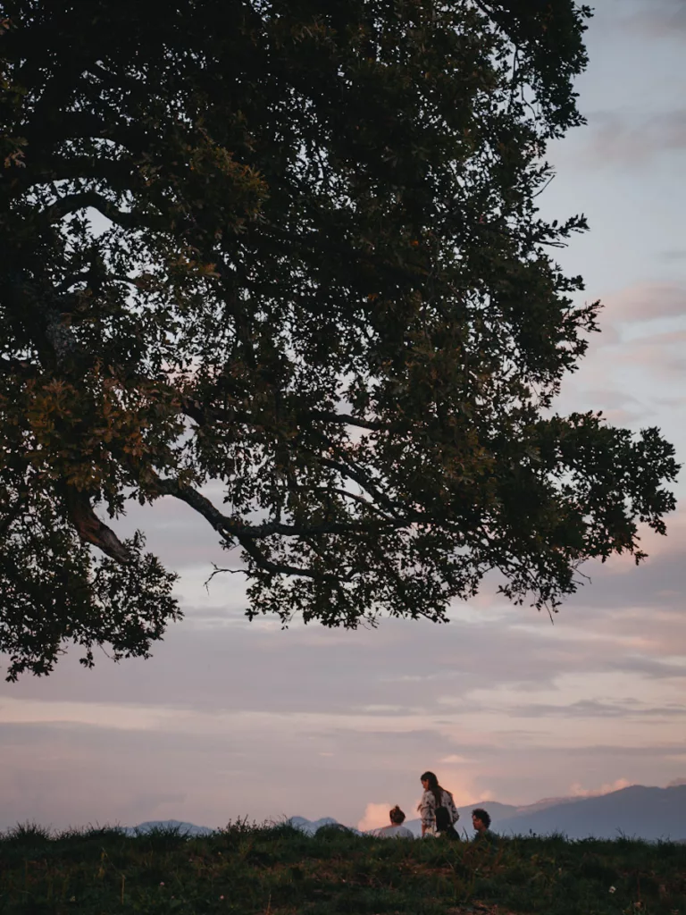 Famille qui regarde le coucher du soleil sous le chêne de Venon, arbre centenaire au-dessus de Grenoble.