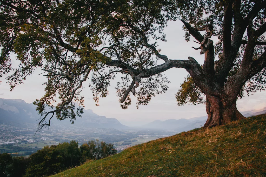 Randonnée accessible en transport en commun (bus) depuis la ville de Grenoble. 