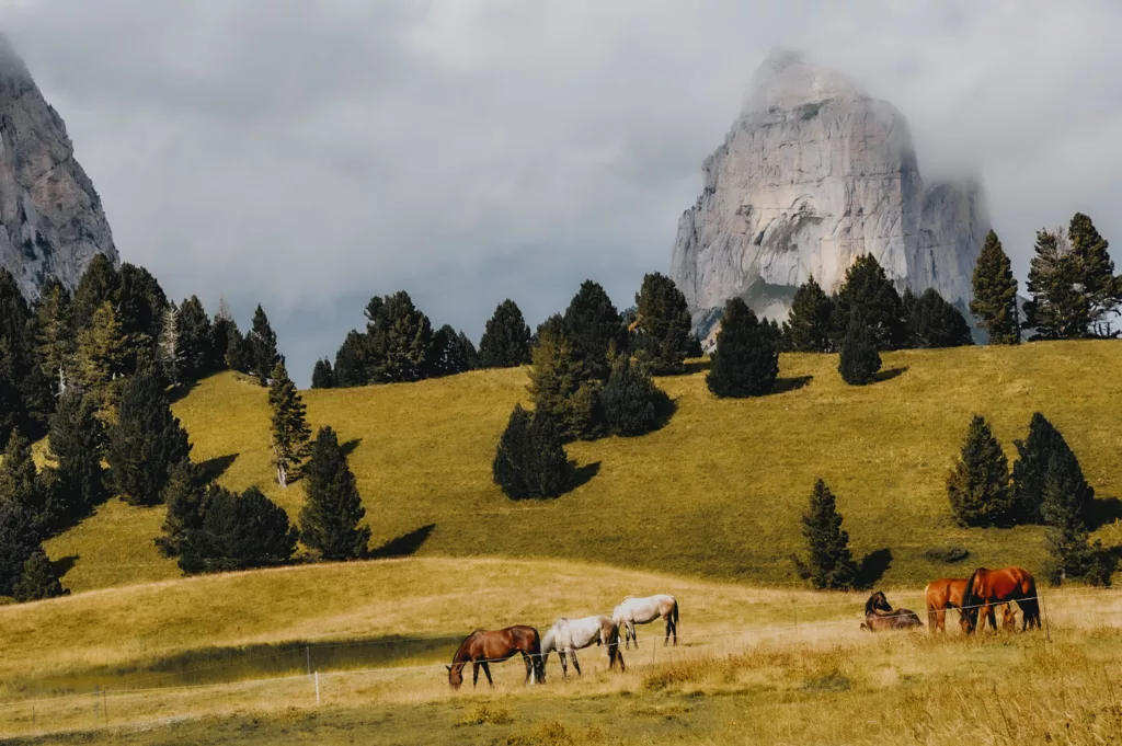 Pas de l'aiguille et chamailloux, randonnée en Isère dans le Vercors