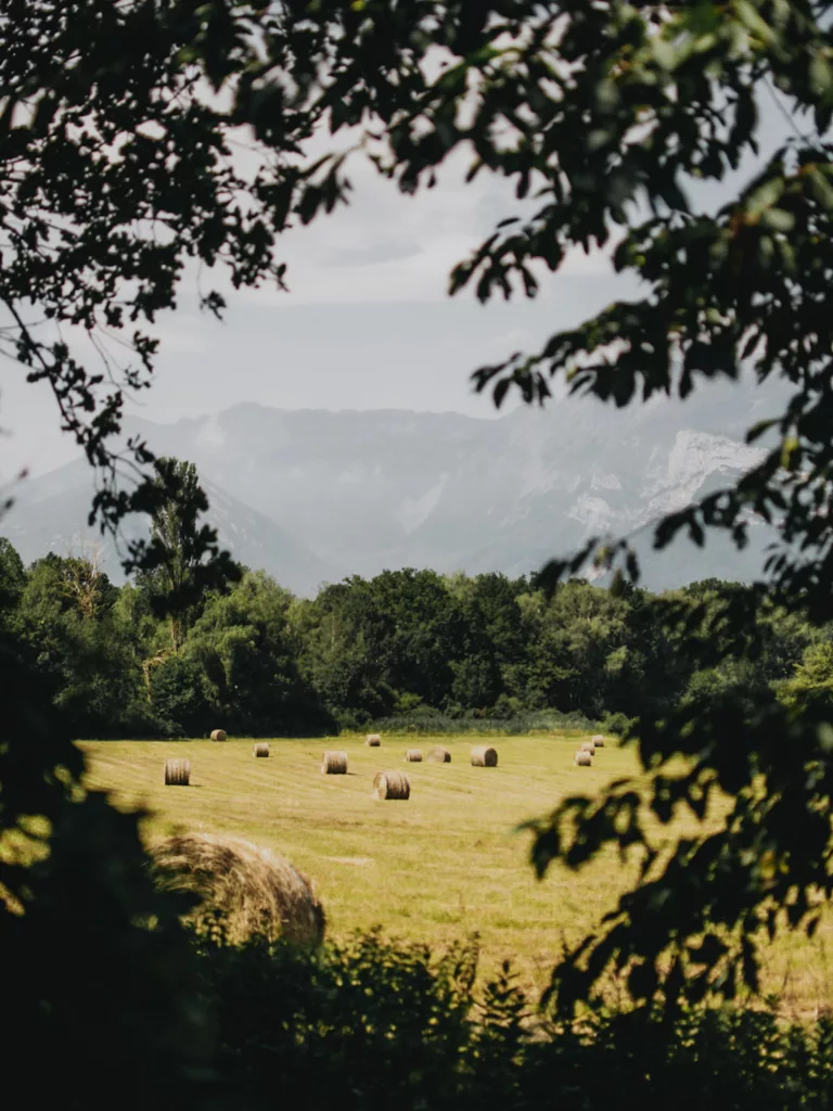 RAndonnée autour de l'étang de Haute-Jarrie, dans un environnement campagnard 