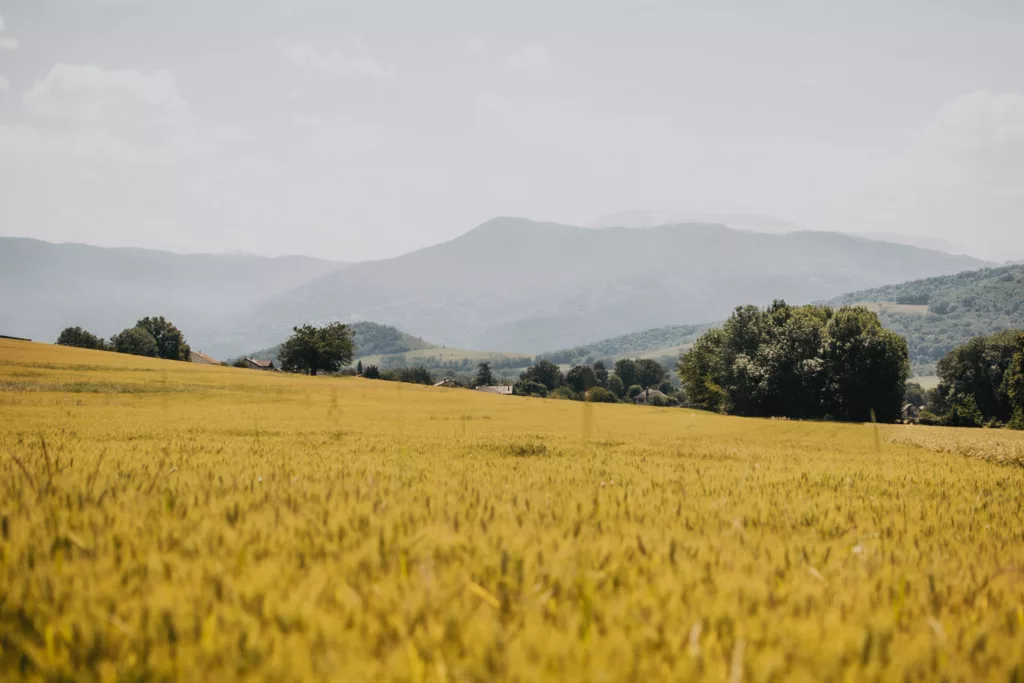 RAndonnée autour de l'étang de Haute-Jarrie, vue sur les champs et les reliefs au alentour