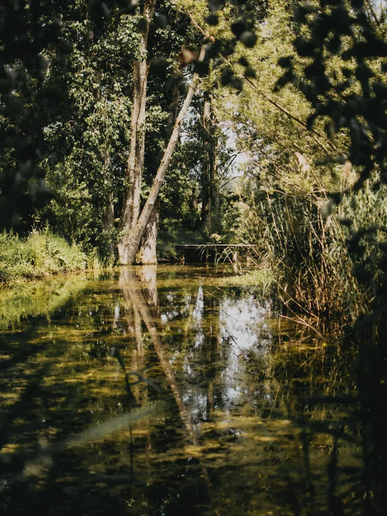 RAndonnée autour de l'étang de Haute-Jarrie, endroit préservé par une réserve nationale