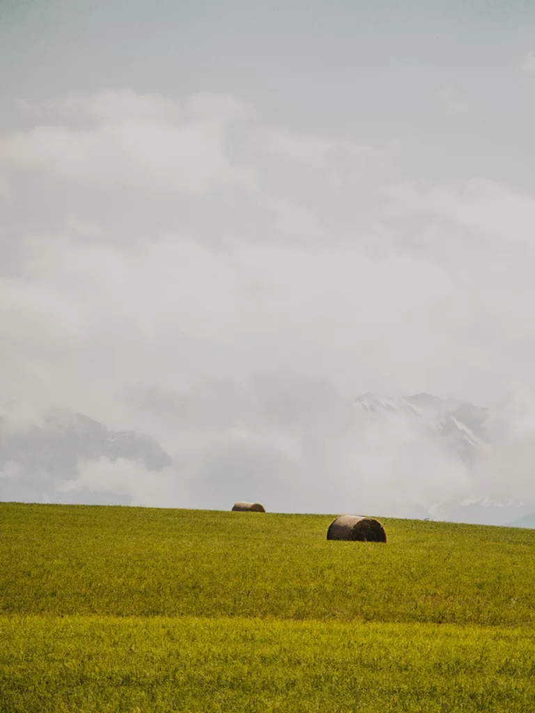 RAndonnée autour de l'étang de Haute-Jarrie, magnifiques champs