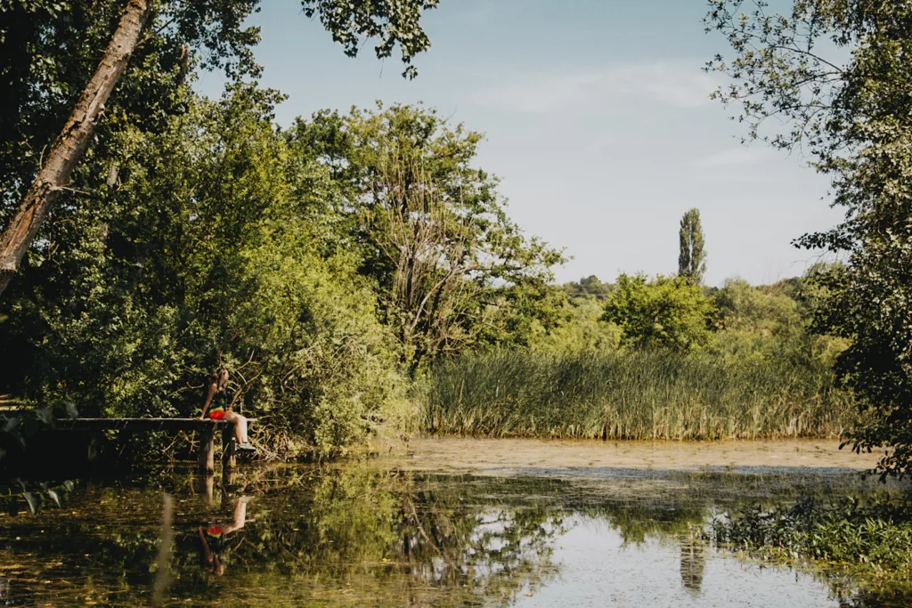 Randonnee-a-letang-de-haute-jarrie-accessible-depuis-grenoble-en-transport-en-commun-Isère