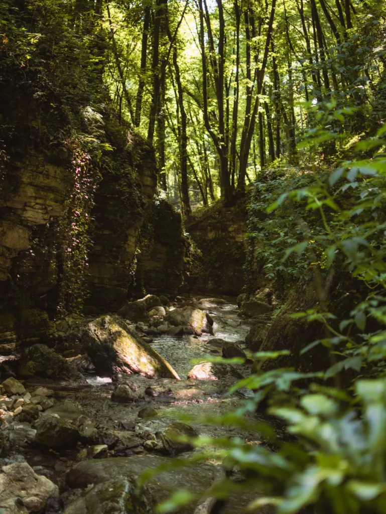 Le furon, proche de sassenage dans notre randonnée accessible en transports en commum depuis grenoble