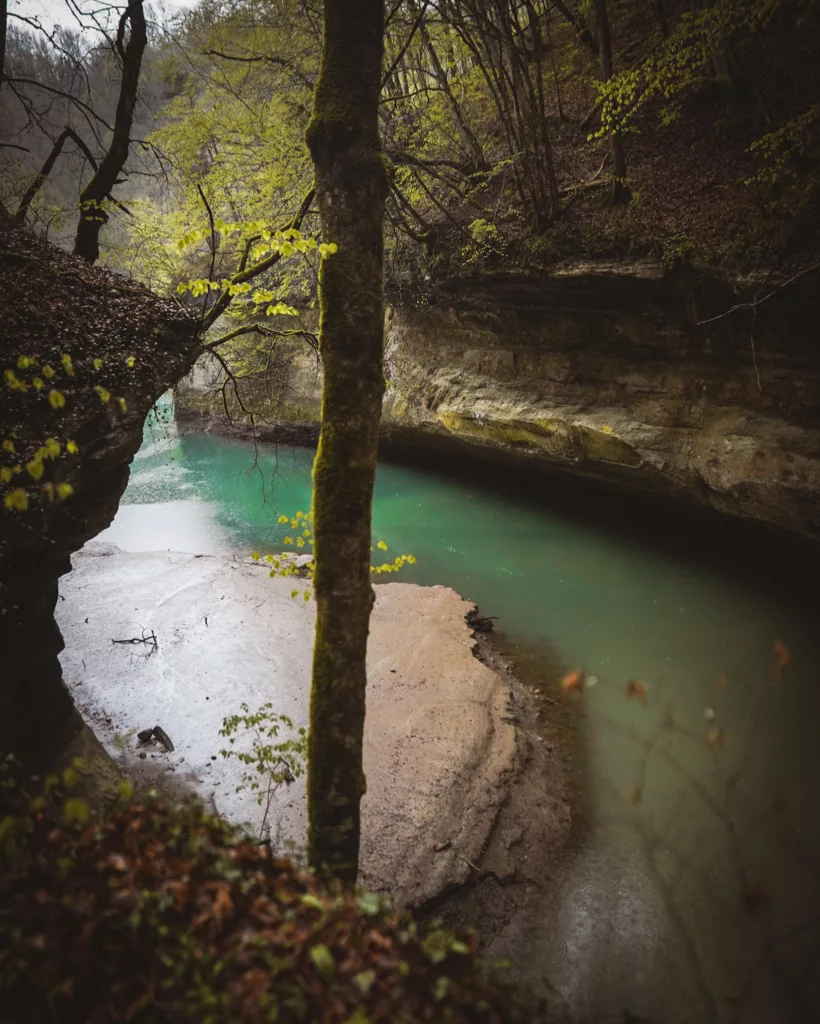 berges du Rhône et la tine de Parnant, un joyau naturel !